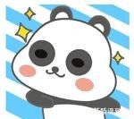 陈小波|肇庆市运会公开组足球联赛第一阶段赛程圆满结束!