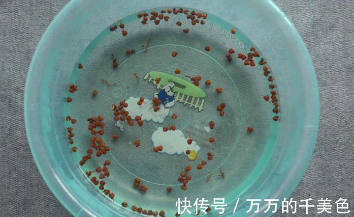 流感|秋后泡“花椒”,疾病不见了,用不了半月,3个好处不请自来