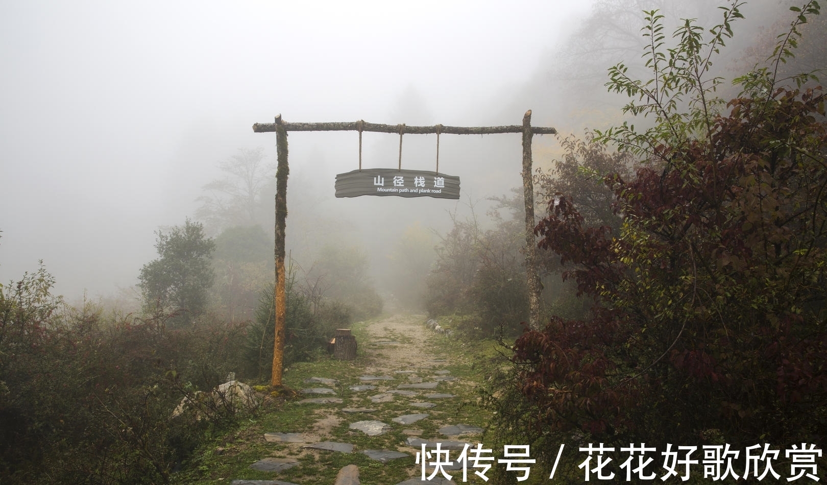 九寨沟|走进九寨新12景｜深山秘境甲勿海 大熊猫“民宿”住着4只可爱的滚滚