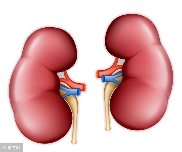 危害|高血压对心脑肾的危害有多大，真不是小事，医生的回答太令人吃惊