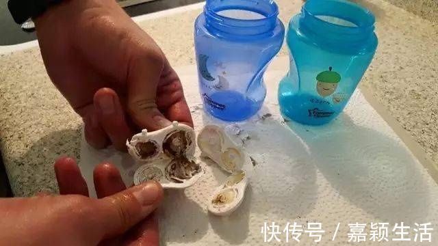 消毒|好可怕!宝宝天天吃的牙胶和奶嘴,竟然比抹布还脏!