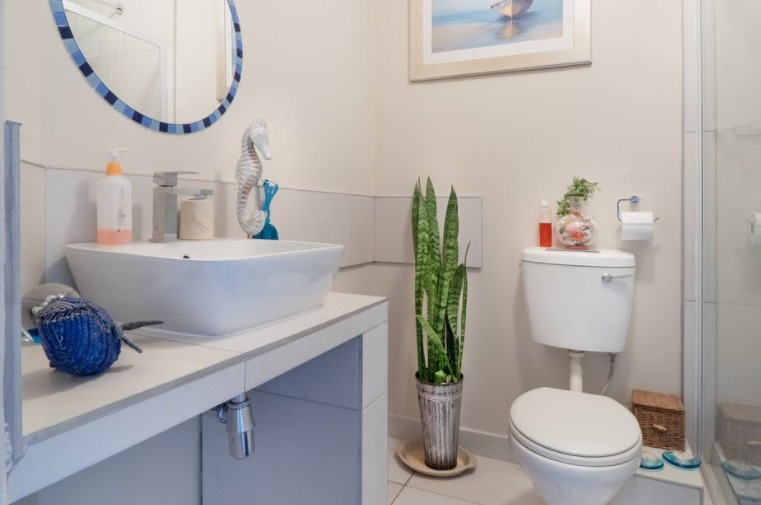 便秘|不要在小型厕所安装厕所。聪明人这样设计实在太实际了!