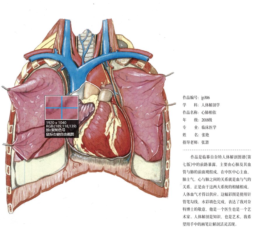 绘图@“医”笔生花！遵医学子医学绘图作品欣赏（6）