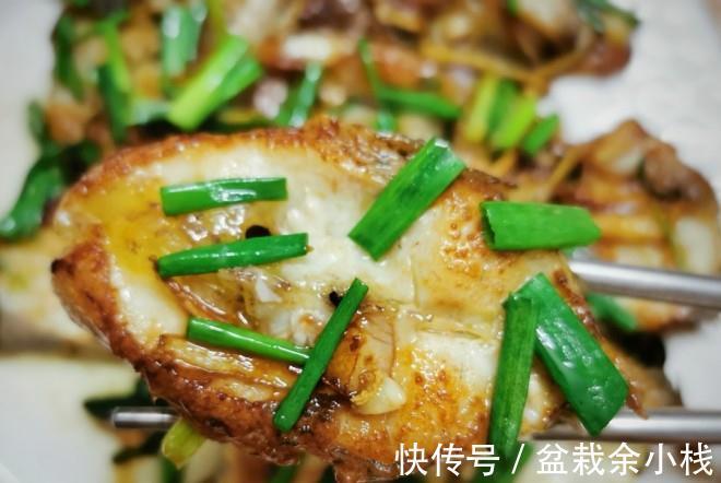 家常鱼肉菜谱,红烧鲈鱼块,做法简单,鲜香下饭,超美味,吃不够