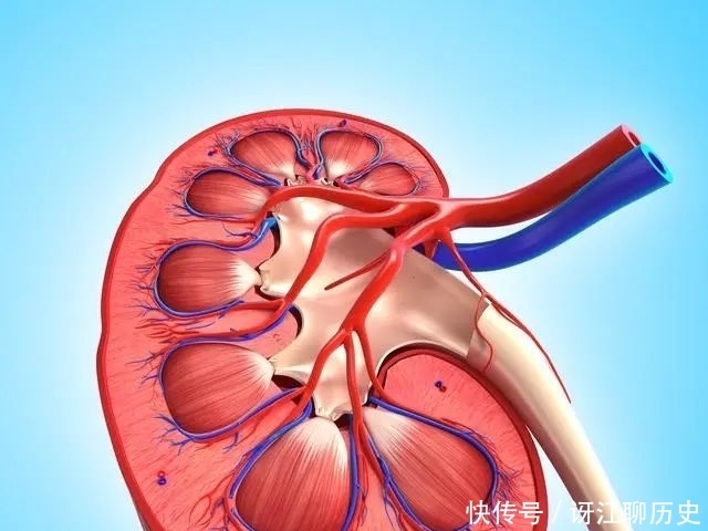 养肾对男人很重要?这9个小技巧要牢记,很管用