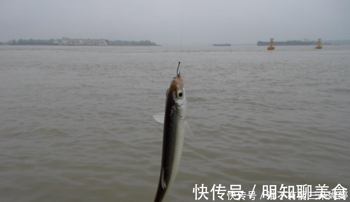 为什么别人钓鱼子线很少缠绕，而你却经常发生？这6个方面是关键