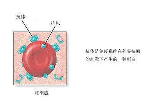 北京和平里刘红旗医生：甲状腺结节元凶，竟是这3个