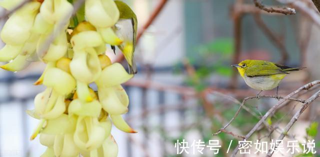 守信|一个有教养的人,总会在这四个方面做得很好