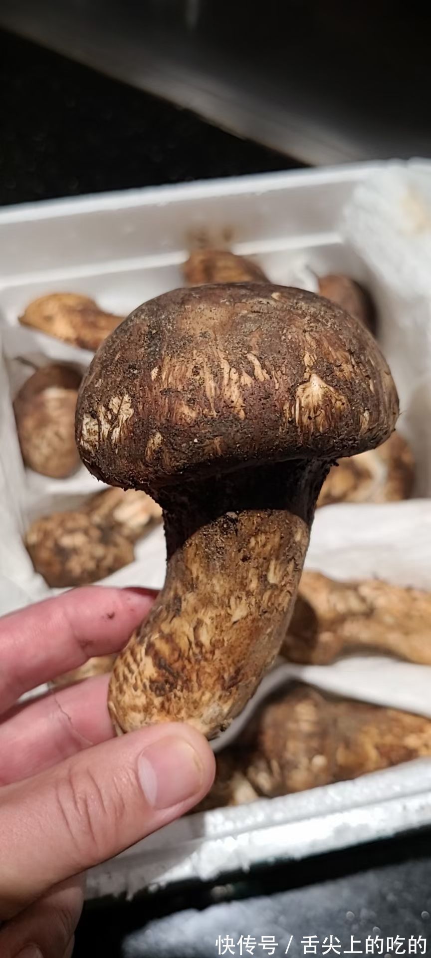 解暑|入秋午餐这样吃,营养又解暑