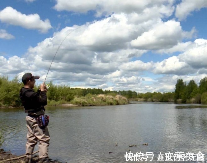 鲤鱼|野钓鲤鱼，关键技巧是这四个，上鱼速度快又狠——盛世三渔