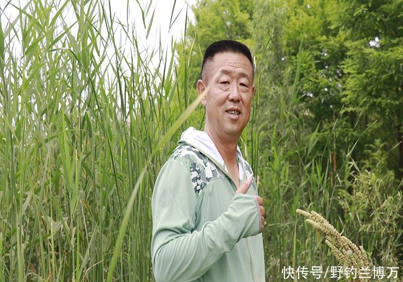 水域|李大毛所到之处：“水涨船高”，其实并非如此，不要被表面所蒙蔽