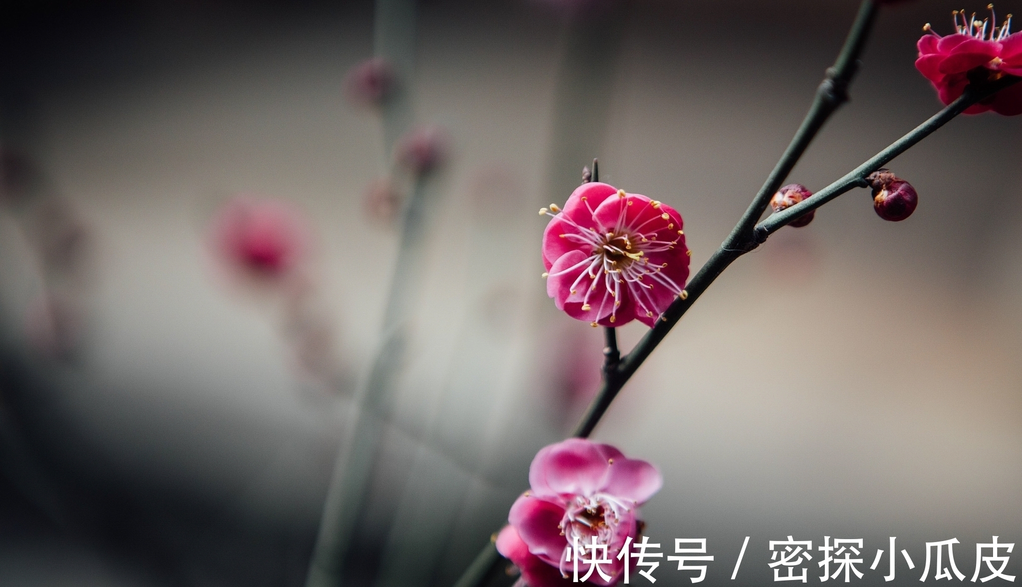 潇湘@一首著名的送别诗,寥寥几句含无限深情,读后让人回味无穷