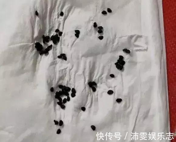施肥|阳台种小葱，注意3点，叶子猛蹿，割了一茬又一茬，收获不断！