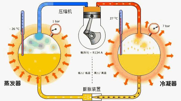 白色|为什么饮品店的冰块是透明的,我冻得却是白色的?
