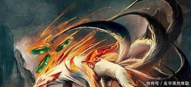 海贼王五种动物系幻兽种恶魔果实 神龙最强 拥有顶尖力量！
