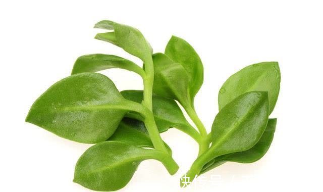 健脑|开春后,多给孩子吃这6种“高钙菜”!健脑又益智,个头还蹭蹭长