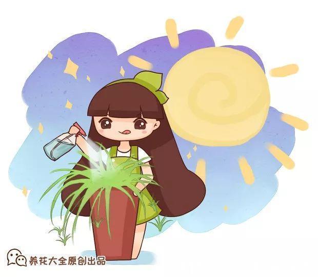 柳枝|它是天然“生根剂”,给花浇一点,根系壮猛发芽!