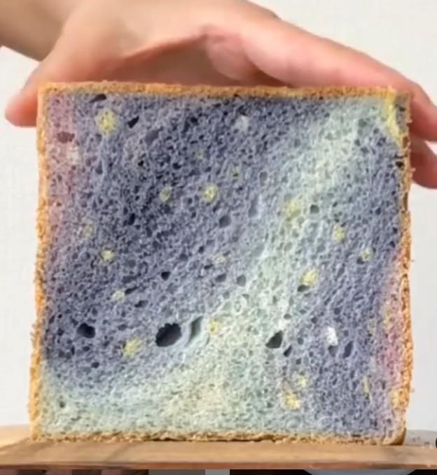  创意|日本烘焙师设计的创意面包爆火！花样百出轻松勾起你的食欲！