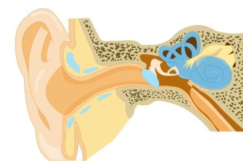 症状|脑科医生：头晕未必都是脑子病引起的，这六大类疾病也可引起头晕