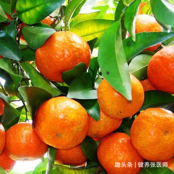 中年人推荐多吃几种食物,消除疲劳,减肥瘦身,好处多多!