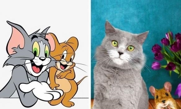 动画片|动画片中的角色,“猫和老鼠”之神的化身,小猪佩奇的化身