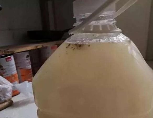 家庭养花，慎用淘米水，掌握正确方法才能远离土壤结块的负面影响