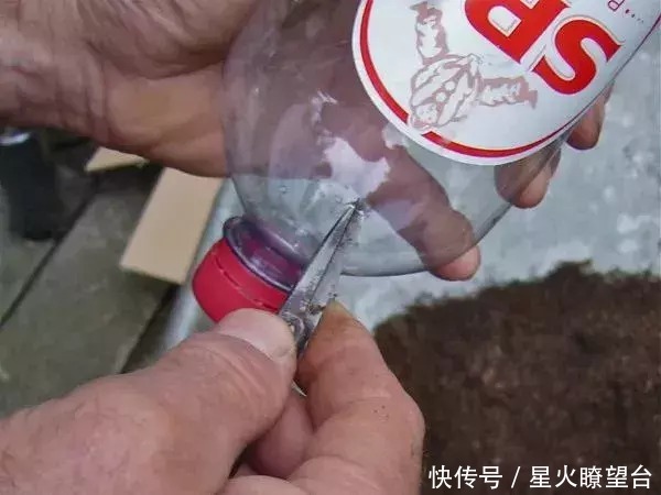 种菜｜用废弃塑料瓶玩立体种植，既美味又美观