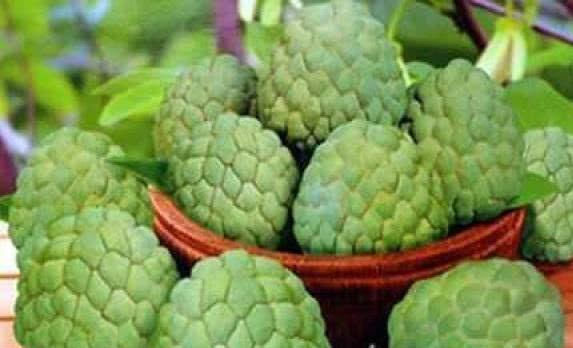 氨基酸|长寿老人都爱吃以下3种食物，排毒抗衰，增强免疫力，更显年轻！