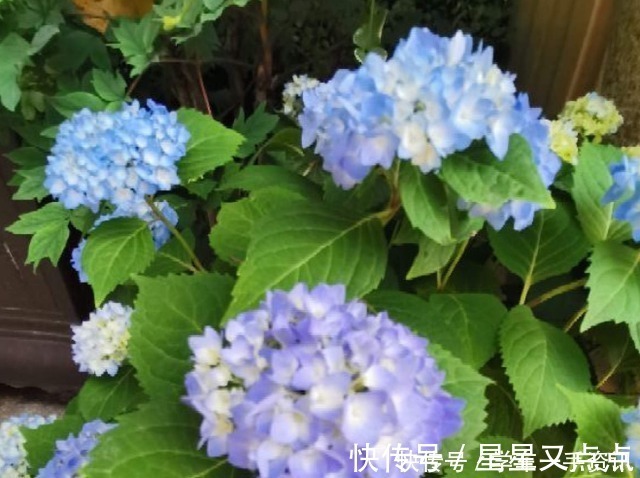 根系|5个养花好习惯，学会了，啥花都能养爆盆！5个养花好习惯，学会了，啥花都能养爆盆！