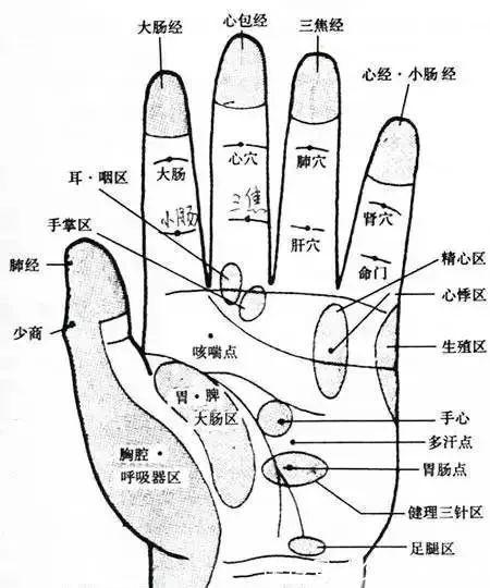 改善|揉这里也可以提高免疫力！改善体质的好方法，一学就会超管用