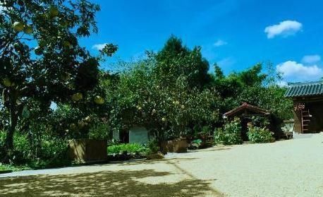 豪宅|参观李子柒住的豪宅，仿佛住在世外桃源，居住环境太好了