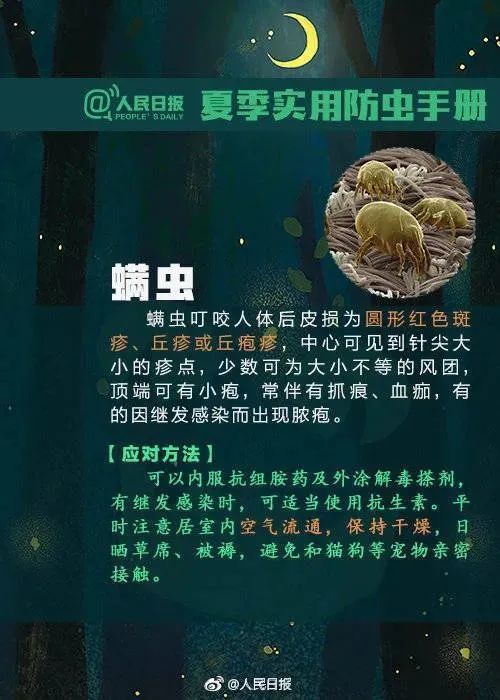 隐翅虫皮炎|女子清晨被痛醒，一照镜子吓坏了！睡觉千万别这么做……