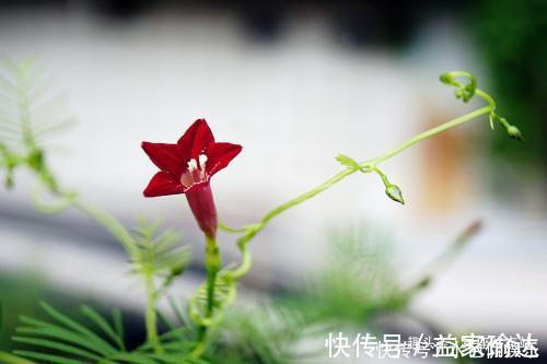 生活质量|家有男人属此生肖,对老婆非常大方,言听计从,处处为老婆着想