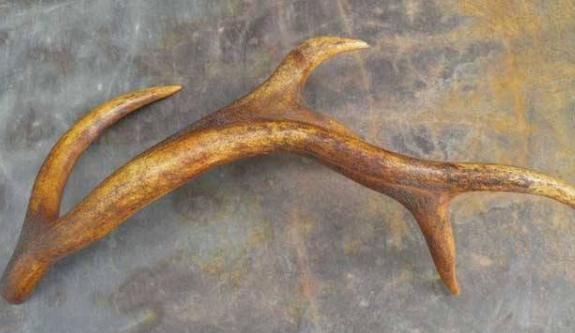 大多数人杀鱼时，会扔掉最有营养的1物，其实补肾效果非常棒！