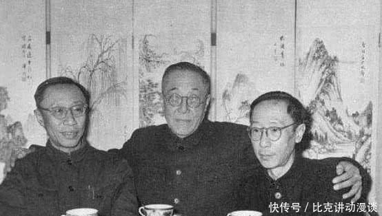 国家栋梁|溥仪没有留下子嗣,亲弟弟育有3个儿子,全都成为国家栋梁!