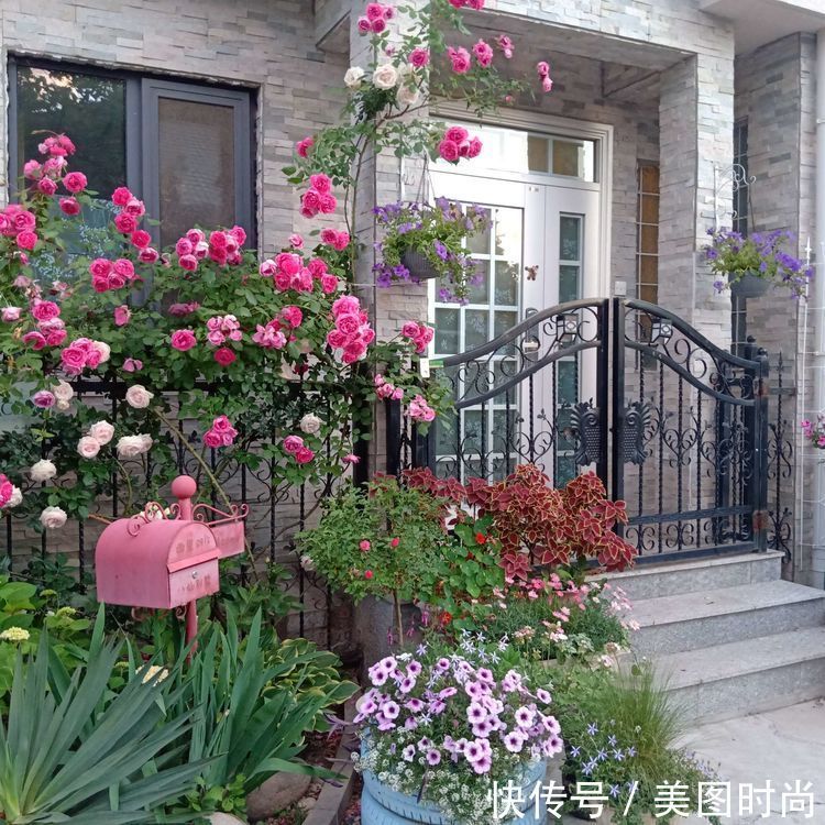 美好时光|花园改造:3年前买了栋带170㎡花园的房子,过上种花草的乡村生活