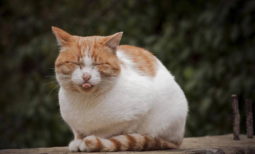 颜值|有这3种眼型的女生,基本与女神颜值无缘了,很多人都是第1种