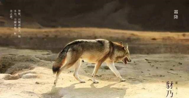 进来|王世充的最后一天正在对天焚香祈祷,一个杀父仇人走了进来