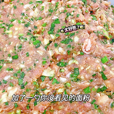 猪肉馅|韭菜猪肉馅饺子