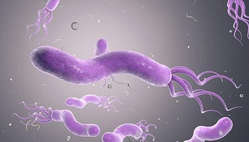 幽门螺旋杆菌越杀越多?用2个'秘密武器'灭它,肠胃病绕道跑