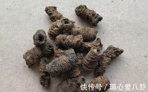 肾阴虚和肾阳虚如何区别，这篇通俗易懂