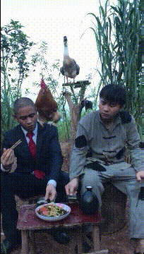 |搞笑GIF:我懒得看他们,我就想知道怎么说服后面那动物