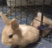 |搞笑GIF：爱妃别怕，朕帮你人工呼吸！