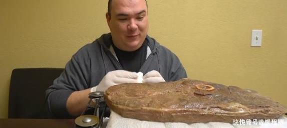 小时候看猫和老鼠以为是搞笑的,长大了才知道这些都是真的