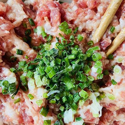 油酥|苏式鲜肉月饼