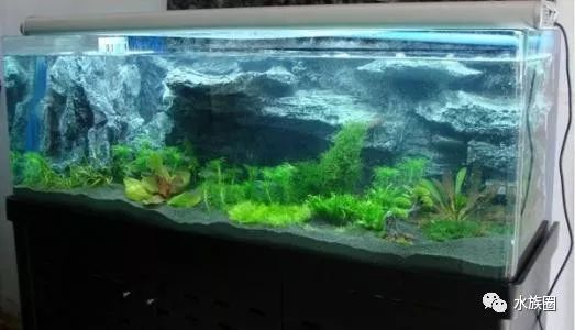 关于鱼缸水温及配备加热棒的常识 快资讯