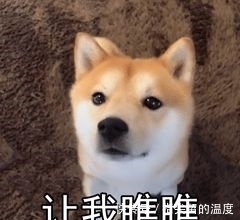 浙江|太罕见!失踪135年,它重现浙江!