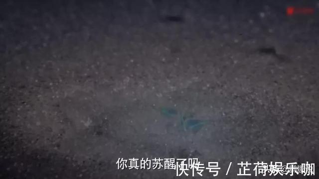 唐昊|《斗罗大陆》完结,唐昊一大锤重伤比比东,小舞离开留下会心一吻