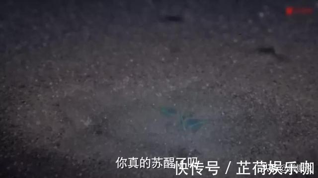 唐昊|《斗罗大陆》完结，唐昊一大锤重伤比比东，小舞离开留下会心一吻