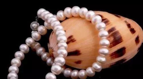 漫游者!一颗珍珠卖上亿,世界上最负盛名的5件珍珠,长什么样?什么价?